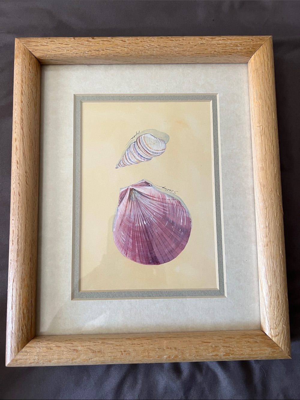 Seashell Watercolor Wall Art in Pink - Framed Coastal Illustration